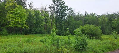 /international/us/lot-4-musky-point-drive-stone-lake-wi-110098062350/