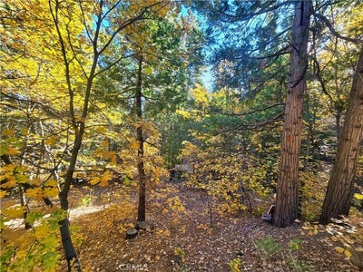 /international/us/0-brentwood-drive-lake-arrowhead-ca-110106154497/