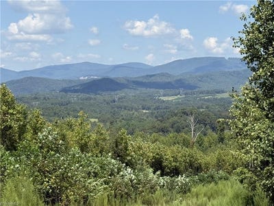 /international/us/off-bauguess-mill-road-traphill-nc-110110149521/
