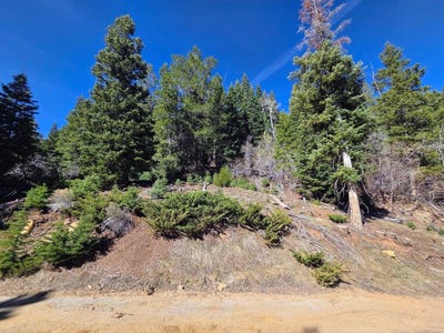 /international/us/bonnie-green-dr-lot-42-duck-creek-ut-110106696128/