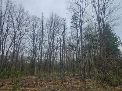 /international/us/perkins-road-lot-14-2-3-burnham-me-110105730674/