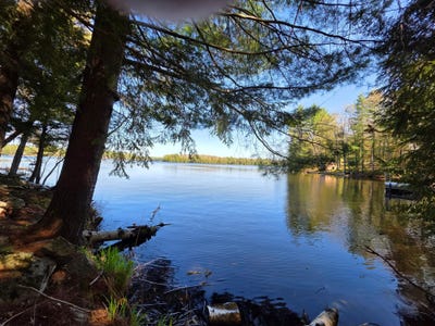 /international/us/on-shady-shore-rd-e-tomahawk-wi-110108090628/