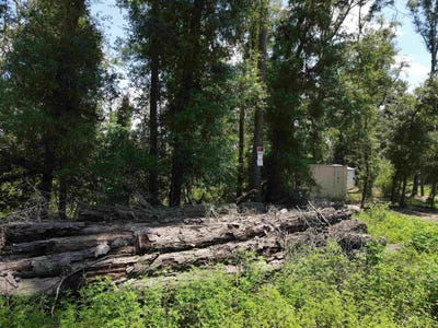 /international/us/ne-blue-springs-church-road-lee-fl-110119531367/