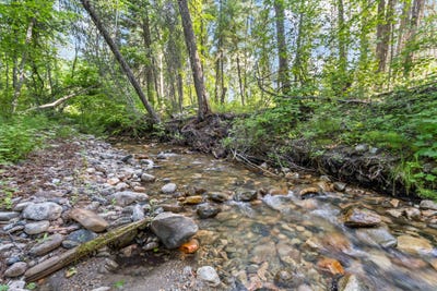 /international/us/8xx-nancy-creek-rd-kettle-falls-wa-110100315345/