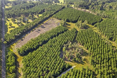 /international/us/4-rudd-road-ridgeville-sc-110100330914/