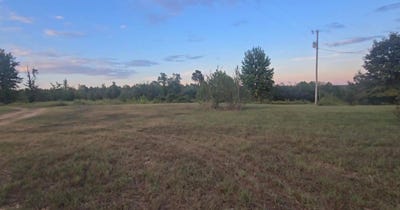 /international/us/co-rd-351-maplesville-al-110120556940/