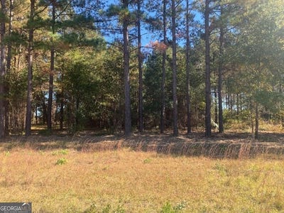 /international/us/lot-7-jenny-lynn-fort-gaines-ga-110096887969/?lang=es