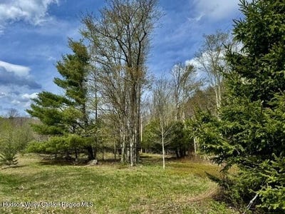 /international/us/park-road-lexington-ny-110103755622/