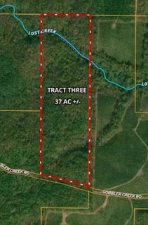 /international/us/tract-3-gobbler-creek-rd-wedowee-al-110100625441/