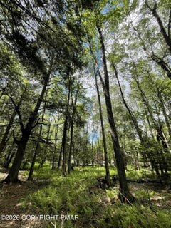 /international/us/pine-rd-67-pocono-pines-pa-110108662157/