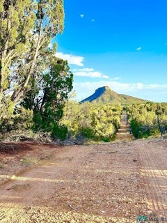 /international/us/w-sena-ranch-rd-serafina-nm-110119779163/