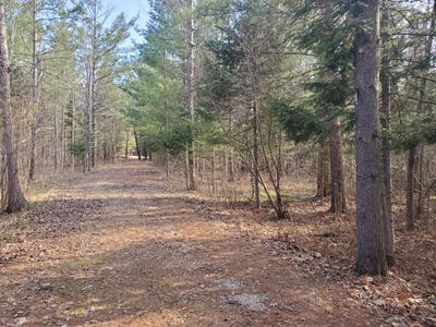 /international/us/eagles-nest-way-gladwin-mi-110107612195/