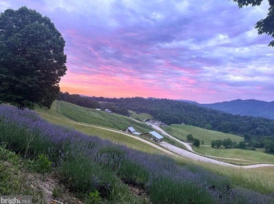 /international/us/3899-eakin-farm-rd-blacksburg-va-24060-blacksburg-va-110107267963/