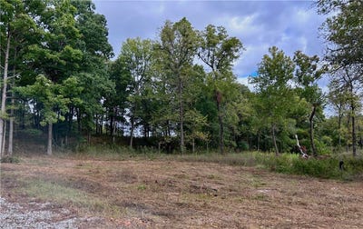 /international/us/10107-noah-road-gravette-ar-110120621724/