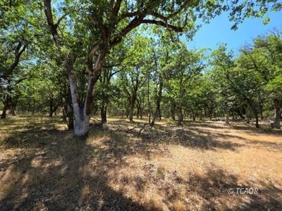 /international/us/420-oliva-dr-hayfork-ca-110100148941/?lang=zh-cn