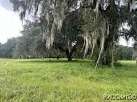 /international/us/4160-ne-127th-place-anthony-fl-110097197426/