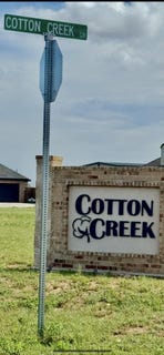 /international/us/43-cotton-creek-cir-new-home-tx-110100695355/