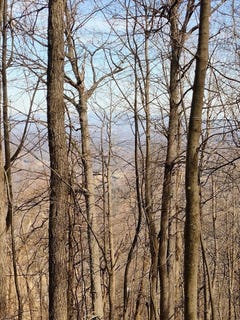 /international/us/0-bent-mountain-rd-bent-mountain-va-110101154043/?lang=en