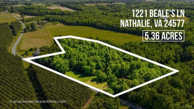 /international/us/beales-lane-nathalie-va-110108259322/