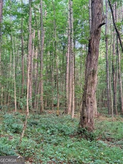 /international/us/pettit-road-lot-4-jasper-ga-110120740564/