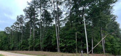 /international/us/56-48-acres-ouachita-387-camden-ar-110107665270/