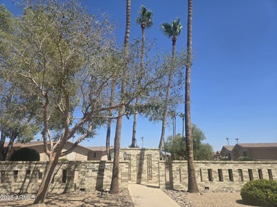 /international/us/19263-n-star-ridge-drive-sun-city-west-az-110100753389/
