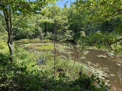 /international/us/hwy-m-64-lot-3-east-ontonagon-mi-110109042376/