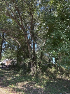 /international/us/castelberry-street-nashville-ar-110101854881/