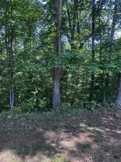 /international/us/lt-24-jericho-road-ona-wv-110099912090/