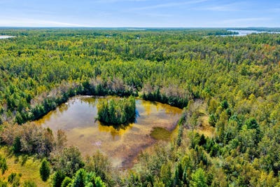 /international/us/3266-long-rapids-road-alpena-mi-110110232137/