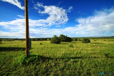 /international/us/51-hide-away-road-quemado-nm-110099668063/