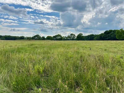 /international/us/2129-county-road-2130-cooper-tx-110108583710/
