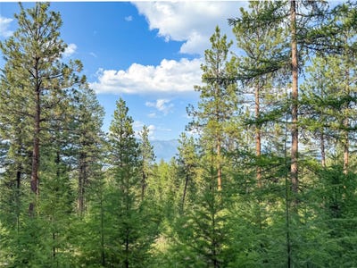 /international/us/148-tiny-acres-trail-rexford-mt-110100514883/
