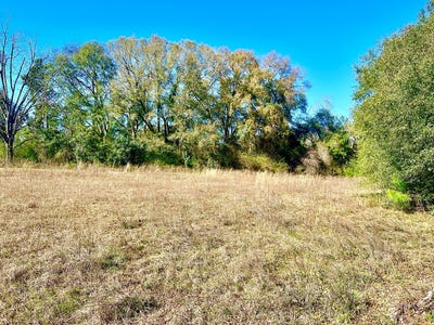 /international/us/0-state-highway-134-e-headland-al-110090291087/