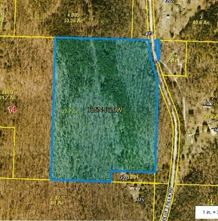 /international/us/473-blue-creek-road-chadwick-mo-110108018402/