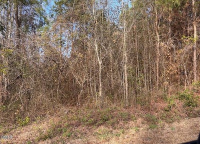 /international/us/watson-grave-yard-road-clarkton-nc-110105041762/