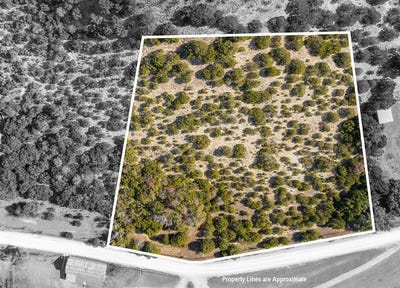 /international/us/251-private-road-2120-meridian-tx-110097783989/?lang=zh-tw