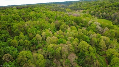 /international/us/morganville-rd-corning-oh-110108074599/
