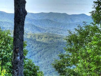 /international/us/65-utana-bluff-trails-ellijay-ga-110108615311/