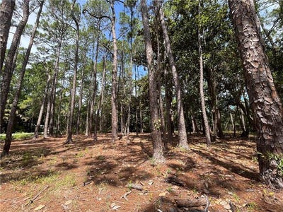 /international/us/600-fort-charlotte-avenue-dauphin-island-al-110100479880/