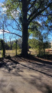 /international/us/0-old-waynesboro-road-keysville-ga-110101071893/