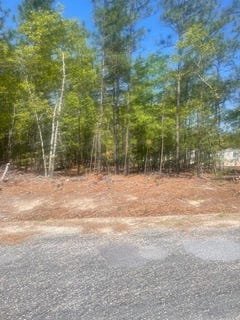 /international/us/5605-halley-road-rembert-sc-110098913157/?lang=zh-cn