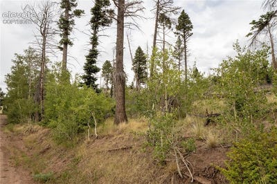 /international/us/andes-loop-lot-2571-fort-garland-co-110110039422/