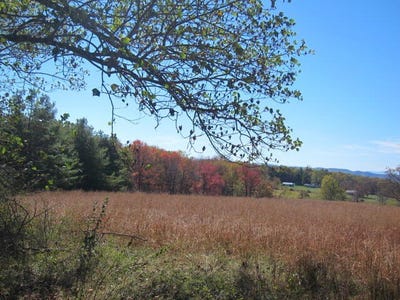 /international/us/4242-muddy-creek-mountain-rd-alderson-wv-110103057365/
