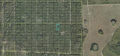 /international/us/donna-street-hastings-fl-110110373249/
