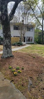 /international/us/1500-pine-log-road-ne-conyers-ga-110108448897/