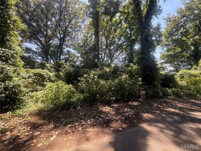 /international/us/lots-10-11-s-side-international-poplar-bluff-mo-110108960978/