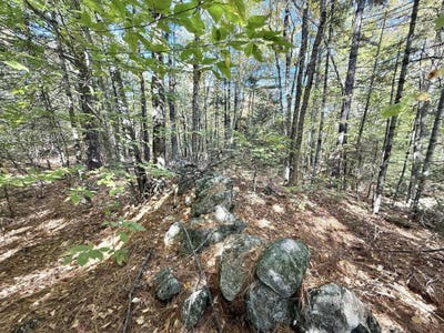 /international/us/m19-l6-6-tuell-hill-road-sumner-me-110102761626/