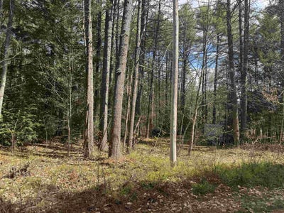 /international/us/riverwood-circle-lot-12-effingham-nh-110107875357/