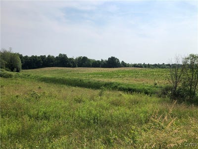 /international/us/00-dutch-ridge-rd-lot-7-scriba-ny-110100746091/?lang=zh-tw